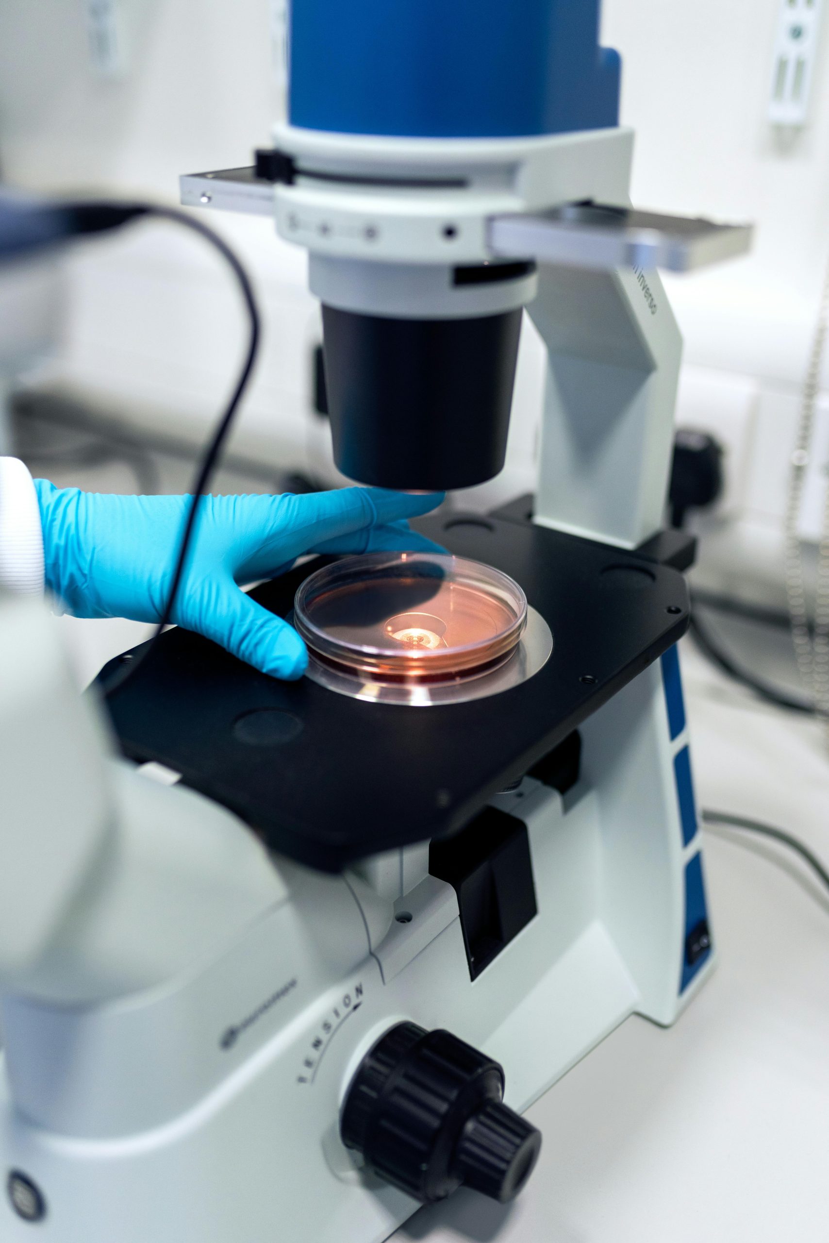 Laboratory microscope with a sample and a gloved hand